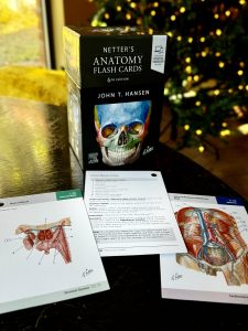 Anatomy flashcards